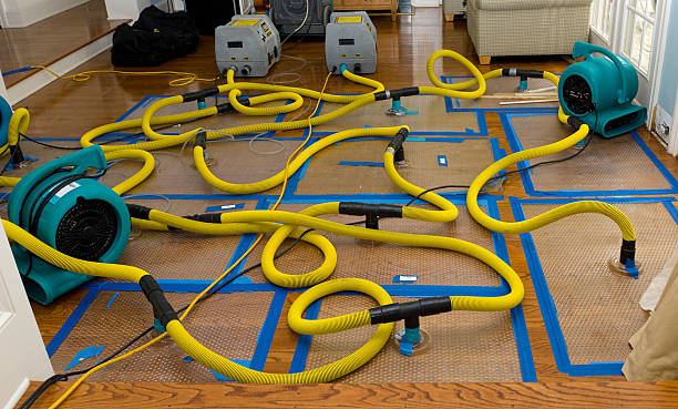 Professional Structural Drying And Dehumidification technician working in Sioux Center, IA